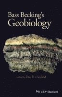 bokomslag Baas Becking's Geobiology
