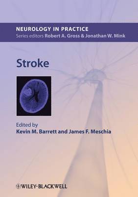 Stroke 1