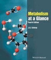 J. G. Salway - Metabolism at a Glance, Häftad