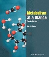 bokomslag Metabolism at a Glance