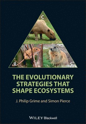 The Evolutionary Strategies that Shape Ecosystems 1