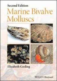 bokomslag Marine Bivalve Molluscs
