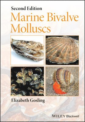 Marine Bivalve Molluscs 1