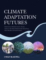 bokomslag Climate Adaptation Futures