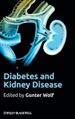 Gunter Wolf, Gunter Wolf - Diabetes and Kidney Disease, Inbunden