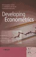 bokomslag Developing Econometrics
