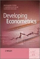 bokomslag Developing Econometrics