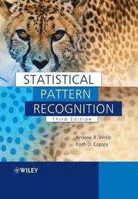 bokomslag Statistical Pattern Recognition