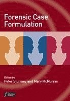 Peter Sturmey, Mary McMurran - Forensic Case Formulation, Inbunden