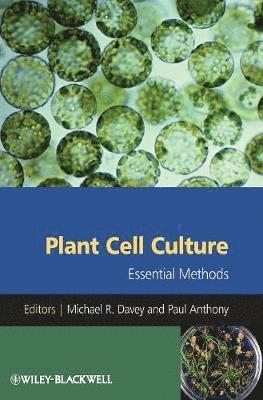 Michael R. Davey, Paul Anthony - Plant Cell Culture, Inbunden