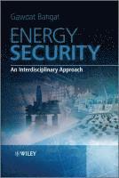 bokomslag Energy Security