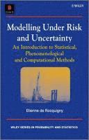bokomslag Modelling Under Risk and Uncertainty