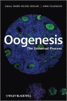 Oogenesis 1