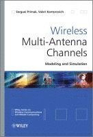 Wireless Multi-Antenna Channels 1