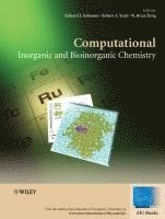 Edward I. Solomon, Robert A. Scott, R. Bruce King - Computational Inorganic and Bioinorganic Chemistry, Inbunden