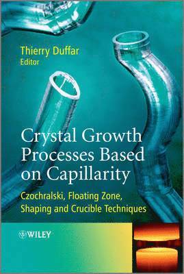 Thierry Duffar, Thierry (Grenoble Polytechnic Institute) Duffar - Crystal Growth Processes Based on Capillarity, Inbunden