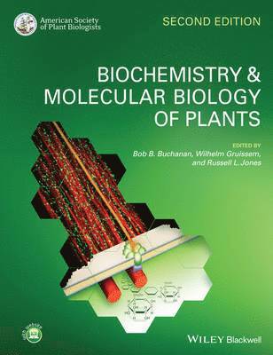 bokomslag Biochemistry and Molecular Biology of Plants