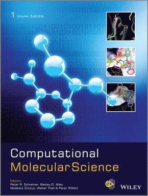 Peter R. Schreiner, Wesley D. Allen, Modesto Orozco, Walter Thiel, Peter Willett - Computational Molecular Science, Inbunden