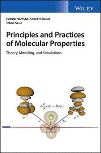 bokomslag Principles and Practices of Molecular Properties