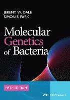 bokomslag Molecular Genetics of Bacteria