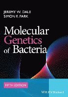 Molecular Genetics of Bacteria 1