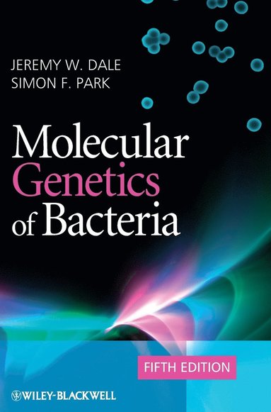 bokomslag Molecular Genetics of Bacteria