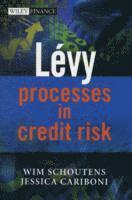 Wim Schoutens, Jessica Cariboni, Belgium) Schoutens, Wim (Katholieke University Leuven - Levy Processes in Credit Risk, Inbunden