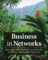 bokomslag Business in Networks