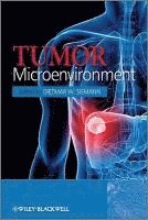 Tumor Microenvironment 1