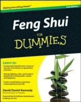 bokomslag Feng Shui For Dummies