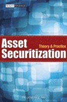 bokomslag Asset Securitization