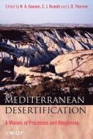 N. A. Geeson, C. Jane Brandt, John B. Thornes - Mediterranean Desertification, Inbunden