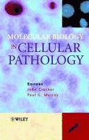 bokomslag Molecular Biology in Cellular Pathology