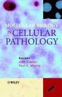 bokomslag Molecular Biology in Cellular Pathology