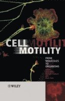 Cell Motility 1