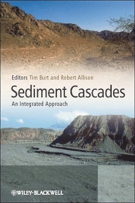 Tim Burt, R. J. Allison - Sediment Cascades, Inbunden