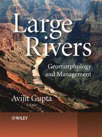 bokomslag Large Rivers: Geomorphology and Management