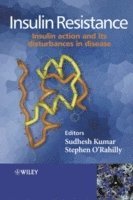 Sudhesh Kumar, Stephen O'Rahilly - Insulin Resistance, Inbunden