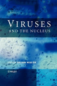 bokomslag Viruses and the Nucleus