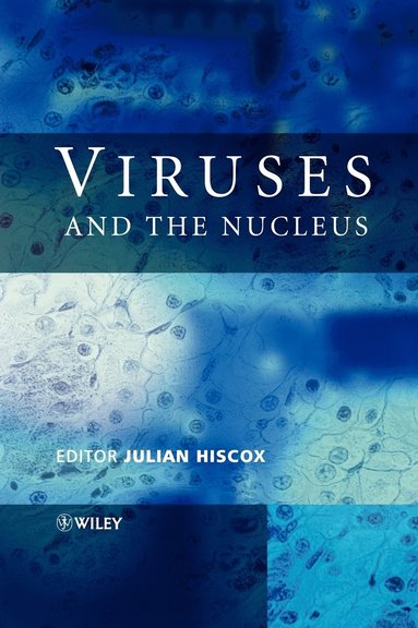 bokomslag Viruses and the Nucleus
