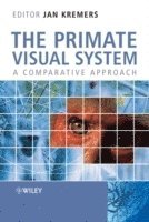 bokomslag The Primate Visual System