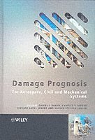 bokomslag Damage Prognosis