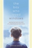 bokomslag The Boy Who Loved Windows