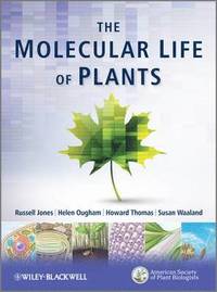 bokomslag The Molecular Life of Plants