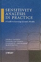 Andrea Saltelli, Stefano Tarantola, Francesca Campolongo, Marco Ratto - Sensitivity Analysis in Practice, Inbunden