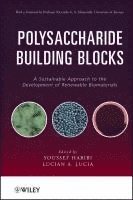 bokomslag Polysaccharide Building Blocks