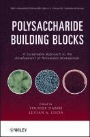 Youssef Habibi, Lucian A. Lucia, Lucian A Lucia - Polysaccharide Building Blocks, Inbunden