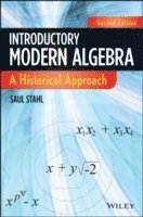 bokomslag Introductory Modern Algebra