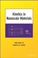 bokomslag Kinetics in Nanoscale Materials