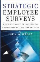bokomslag Strategic Employee Surveys